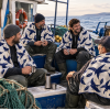 Baskılı Polar Kumaş | Mavi Kuşlar