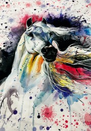 Renkli At  Baskılı Pano 2 iplik Kumaş 82x180 cm