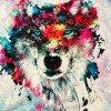 Renkli Kurt Baskılı Pano 2 iplik Kumaş 82x180 cm