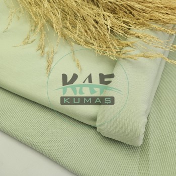 Penye 75% Pamuk 25% Polyester 5% Elastan İki İplik Kumaş | Mint Yeşili