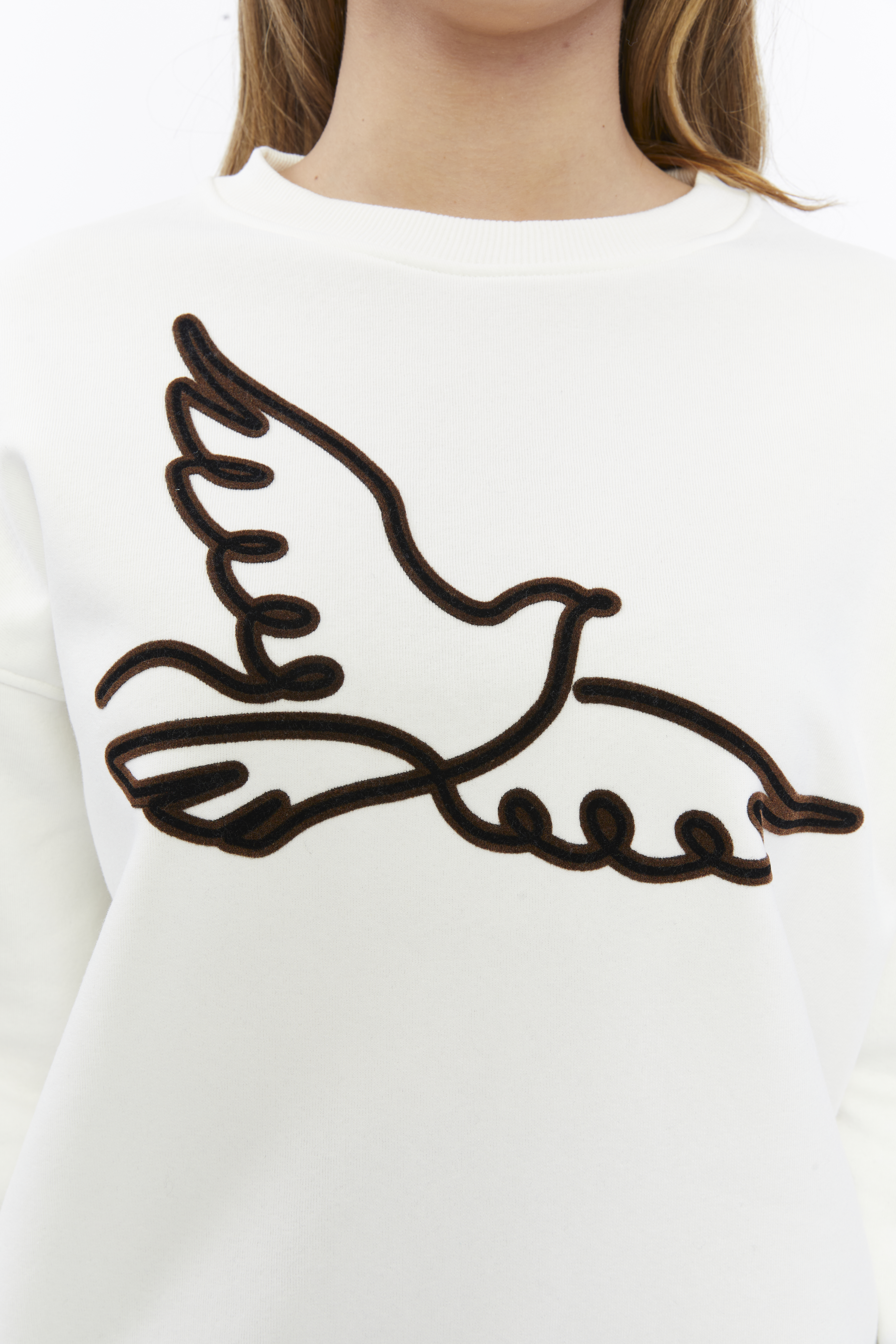 Kadife Kuş Desenli Şardonlu (Içi Polarlı) Ekru Regular Fit Bisiklet Yaka Kadın Sweatshirt